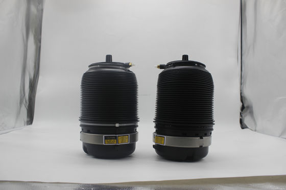 Amortisseurs à ressorts d'air arrière pour Audi A6 C6 4F