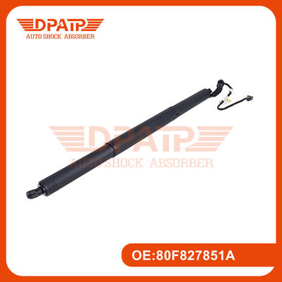 Le plus performant 80F827851A 80F827851B