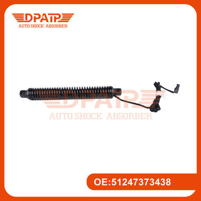 Système de levage électrique Porte arrière 51247373438 pour BMW F10 F18 Porte arrière de voiture