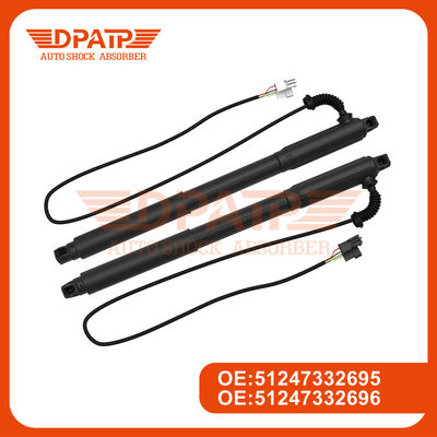 Support électrique de l'ascenseur de porte arrière 51247332695 pour BMW X5 E70