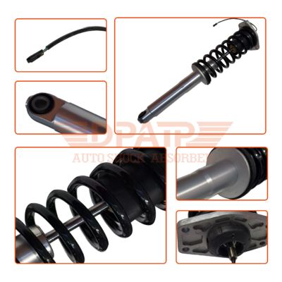 Pièce auto 248256 Kits combinés filetés Suspension Ressort Amortisseur arrière Amortisseur inductif pour Maserati Quattroporte M139 2007-